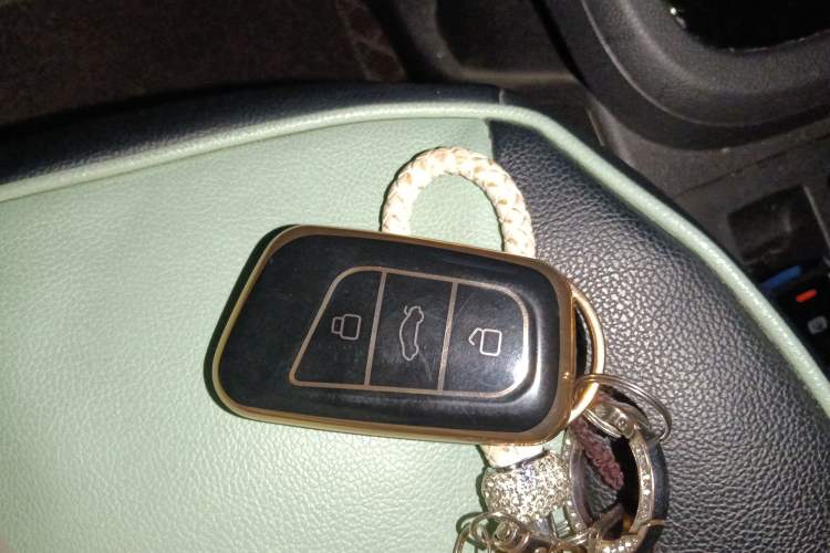 Used Chery New Energy Little Ant 2022 Sweet Pink Edition Low-Sugar Version Lithium Iron Phosphate 30 kW 301 km
