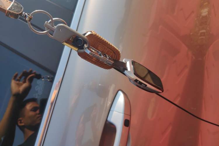 Used BORGWARD BX5 2020 20TGDI Automatic Two-Wheel Drive Pioneer Edition