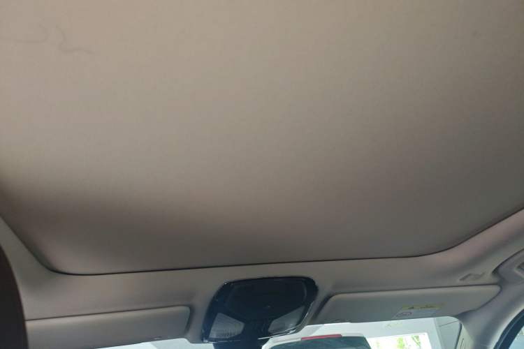 Used BMW 3 Series 2021 Second Facelift 325Li M Sport Package Headliner