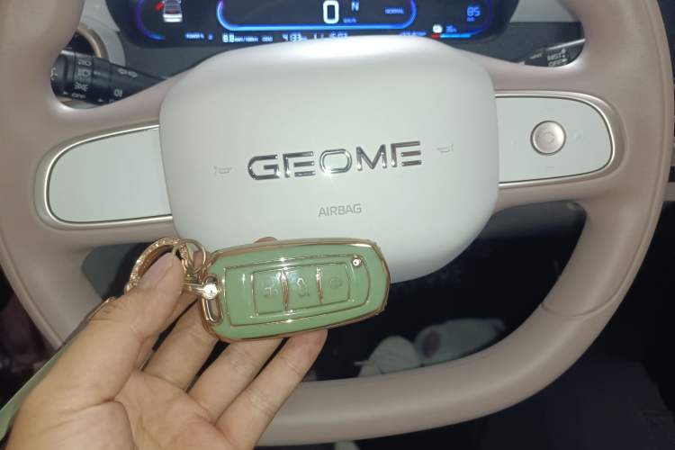 Used Geely Galaxy Panda 2025 210km Panda Kart