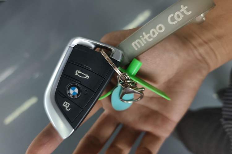 Used BMW X2 2018 sDrive25i Leading Model M Sport Package China V