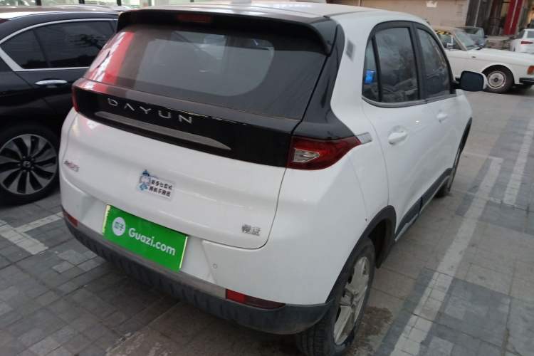 Used Dayun Yuehu 2022 300 Standard Edition
