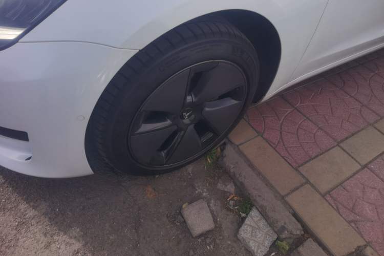 Used Tesla Model 3 2019 Standard Range Rear-Drive Upgraded Version
