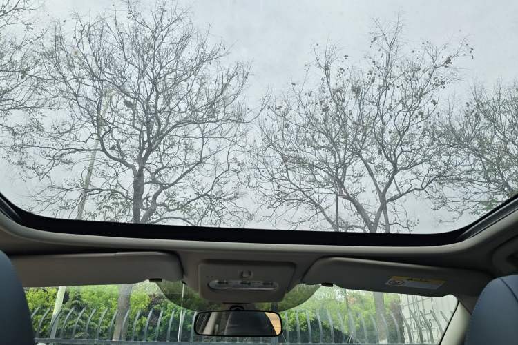 Used Nissan Qashqai 2025 Honor 2.0L CVT XV+ Leading Edition Headliner