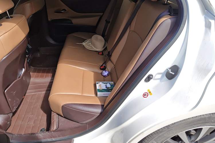 Used Lexus ES 2018 200 Luxury Edition China V Standard Left Rear Seat