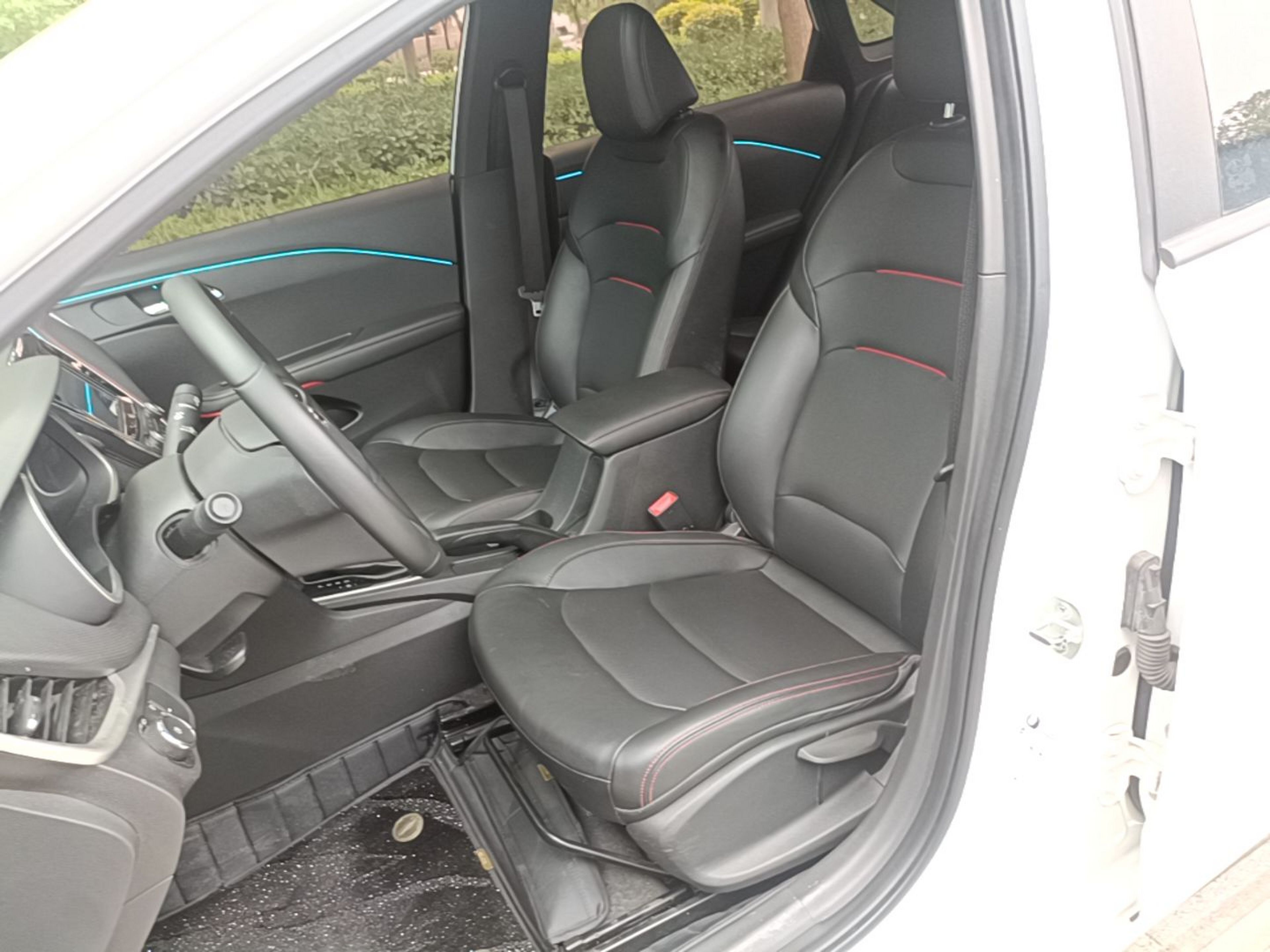 Interior delantero