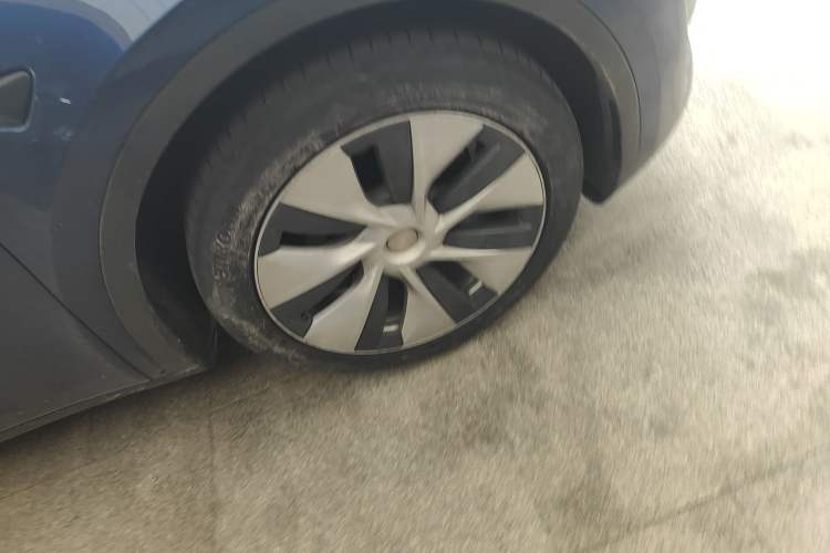 Used Tesla Model Y 2021 Standard Range Rear-Wheel Drive Version
