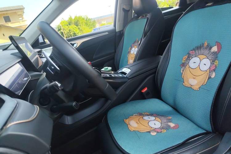 Used Wey Mocha 2021 2.0T Two-Wheel Drive Special Edition
