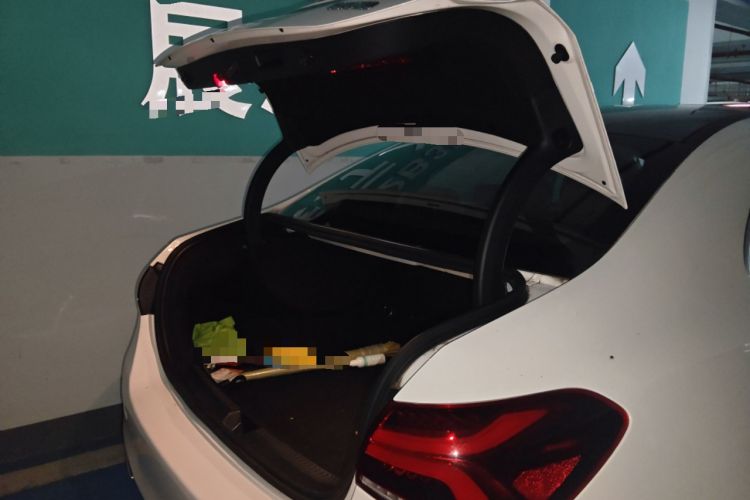 Used Mercedes-Benz A-Class 2019 A 200 L Sport Sedan