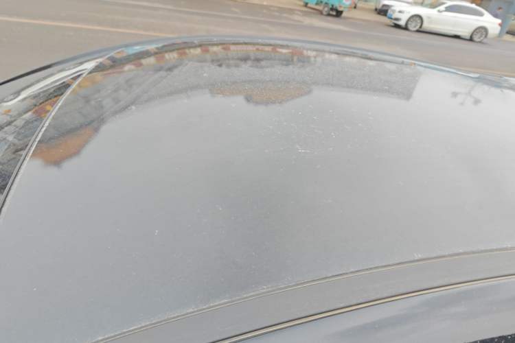 Used SOL E10X 2022 Flower Fairy Style Baby's Breath