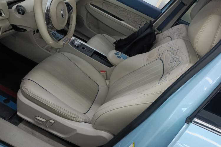 Used ORA Good Cat 2022 400km Standard Range Luxury Version Lithium Iron Phosphate Left Front Seat