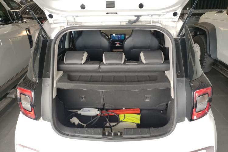 Used SOL E10X 2022 Flower Fairy Style Baby's Breath
