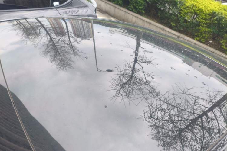 Used Tesla Model Y 2022 Rear-Wheel-Drive Version Roof