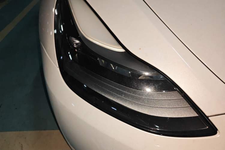 Used Tesla Model Y 2021 Standard Range Rear-Wheel Drive Version
