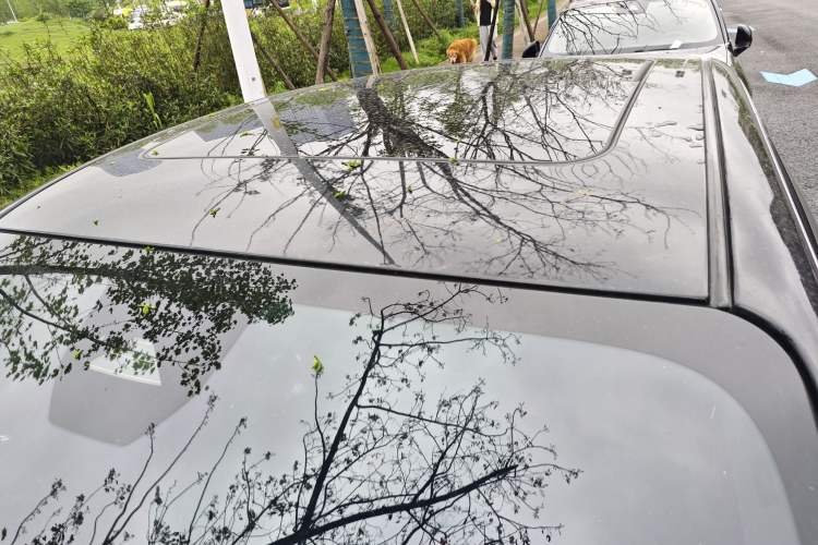 Used Lynk & Co 03 2023 2.0TD DCT H-Power Halo Roof