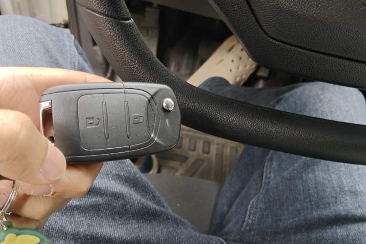 Used Linxys Huangjincang 2025 Value Edition 42.3 kWh