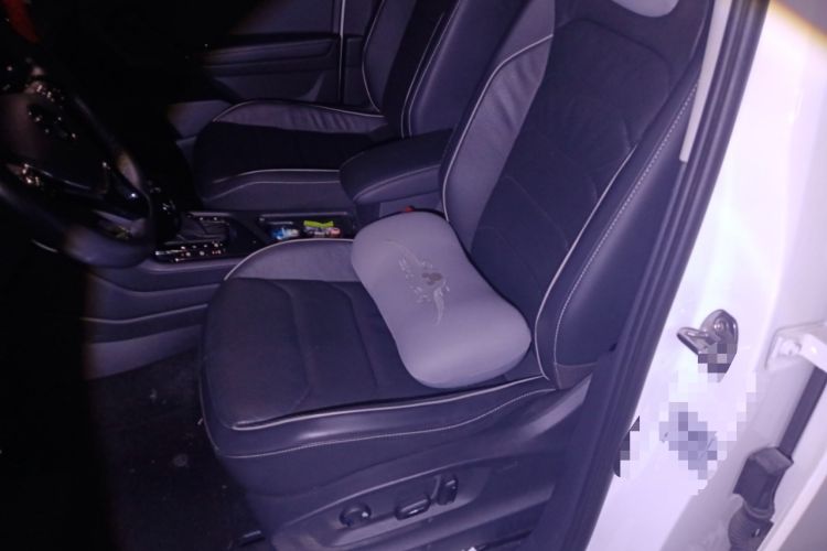 Used Volkswagen Tiguan L New Energy 2019 430 PHEV Hybrid Flagship Model