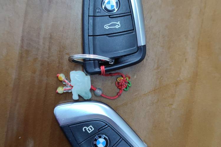 Used BMW X1 2020 xDrive25Li Luxury Edition Interior 1