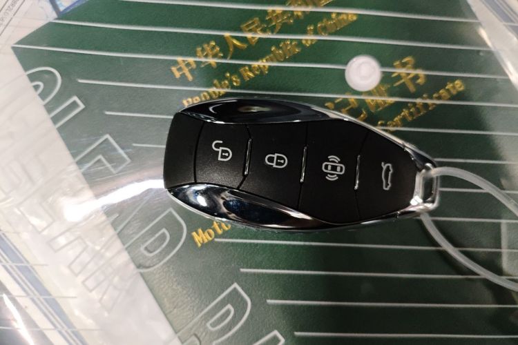 Used Hongqi H9 2024 2.0T Qichang Private Enjoyment Luxury Edition