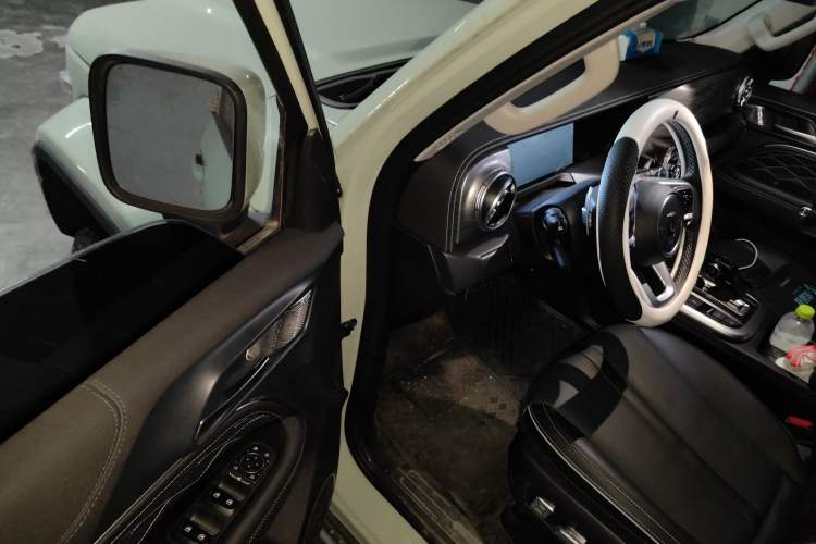 Used Tank 300 2024 2.0T Crosser
