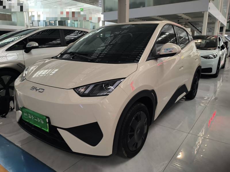 Used BYD Seagull 2025 Intelligent Driving Version 305 km Dynamic Edition — 1