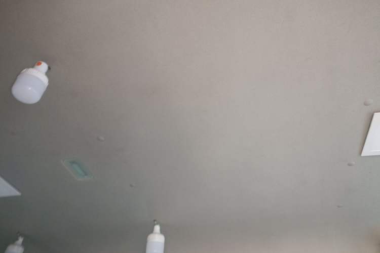 Used Foton Toano 2020 2.0T Multi-Function Short Wheelbase Mid-Roof 5/6-Seater China VI Emission Standard 4F20TC3