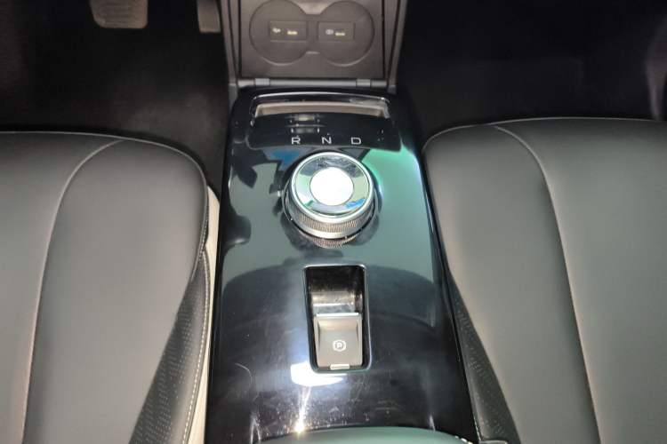 Used Geometry E Firefly 2022 401 km Linglong Tiger 4 Seats