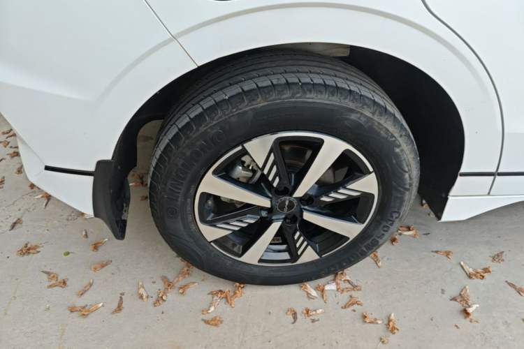 Used BYD e2 2023 Luxury Model Right Rear Wheel Hub