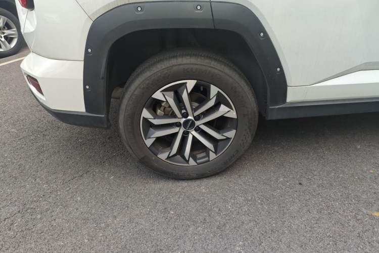 Used Haval H Dog 2023 2.0T Two-Wheel Drive Chaoye Version Plus
