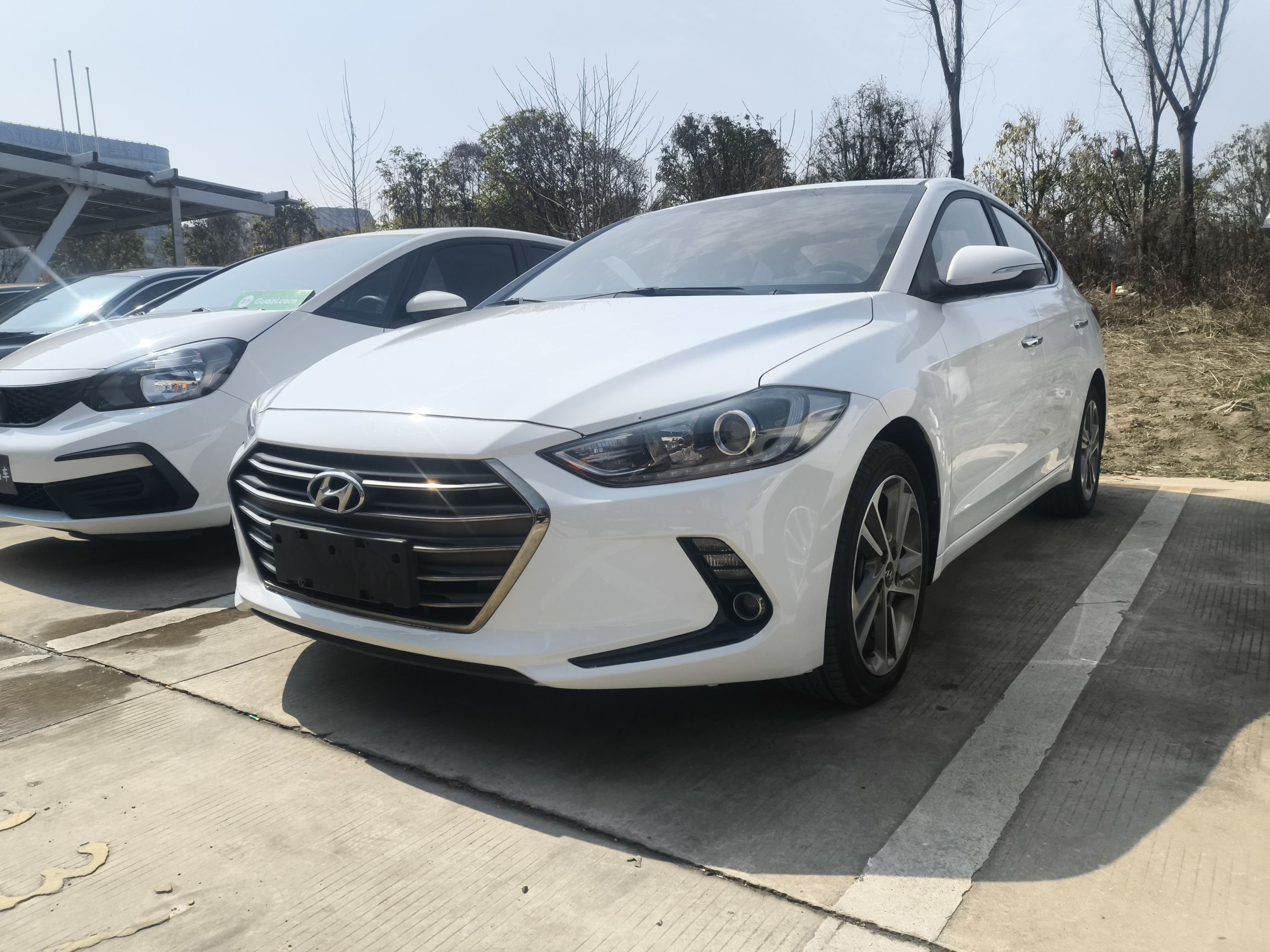 تحت مقدمة السيارة