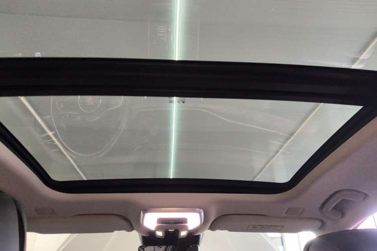 Used Hongqi H9 2020 2.0T Smart Connect Flagship Edition
