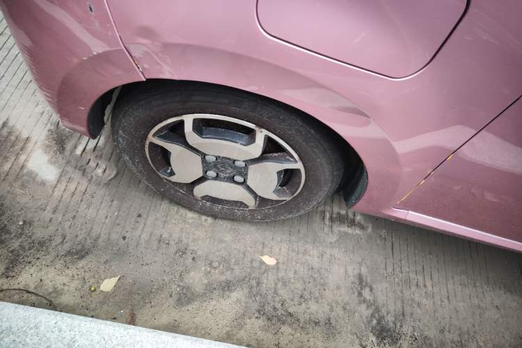 Used SOL E10X 2022 Flower Fairy Style Baby's Breath