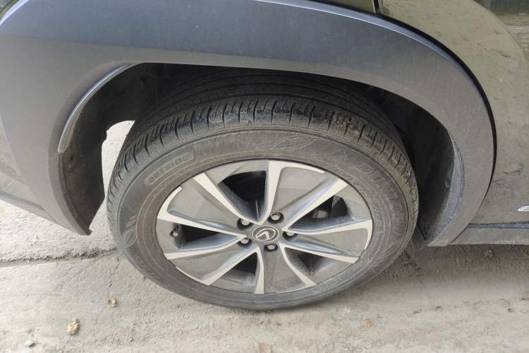 Used Lexus UX New Energy 2020 300e Pure·Joy Edition Exterior 8