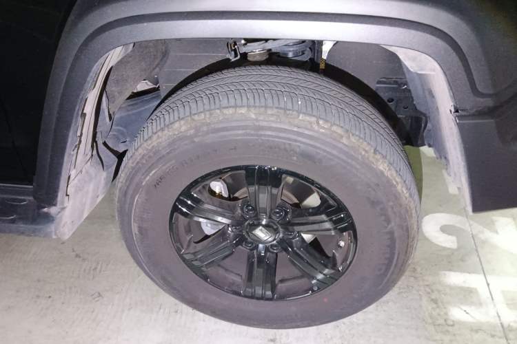 Used Tank 300 2024 2.0T Conqueror
