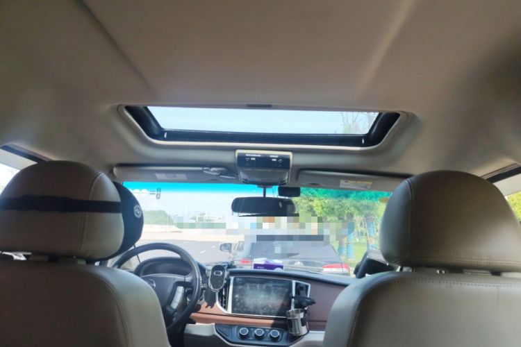 Used FORTHING Lingzhi 2017 M5 1.6L Luxury Model
