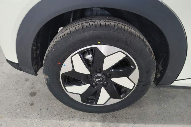 Used BYD Dolphin 2025 420km Free Edition
