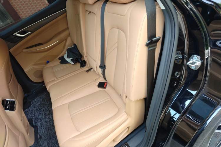 Used Landian E5 2023 1.5L DE-i 100KM Zhenxiang Edition 7-Seater