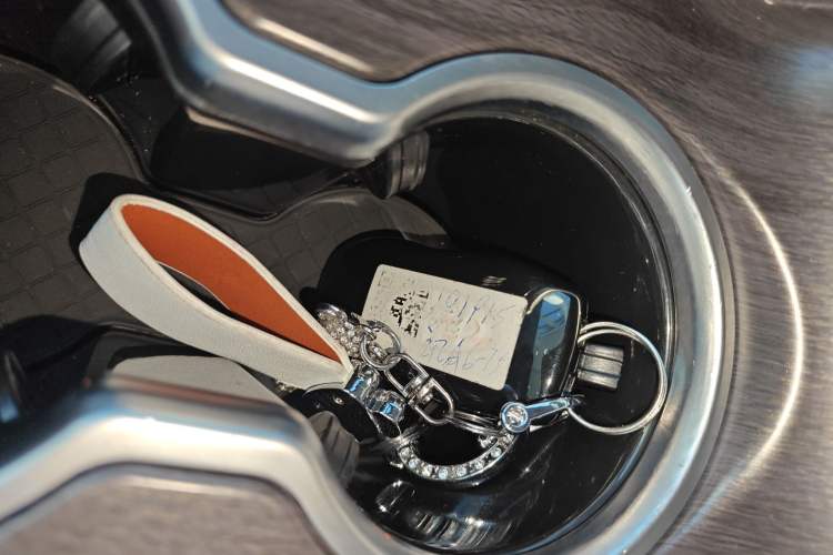 Used Juntian Black Warrior Youth 2025 2.0T Gasoline Top-of-the-Line Version
