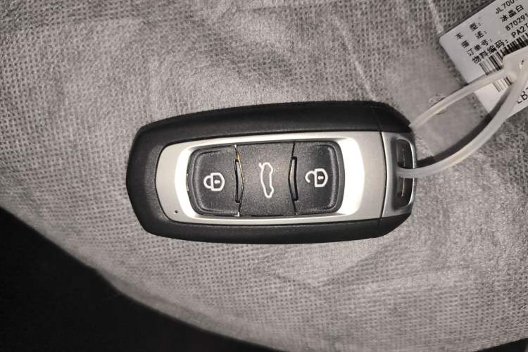 Used Geely Galaxy Panda 2024 Panda Mini 200km Endurance Bear