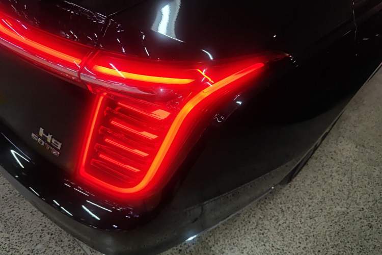 Used Hongqi H9 2020 3.0T Smart Connect Flagship Four-Seat Version
