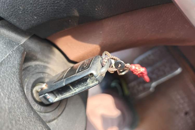 Used FORTHING Joyear X5 2016 1.6L Manual Luxury Edition
