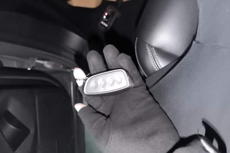 Used Haval H Dog 2023 2.0T Two-Wheel Drive Chaoye Version Plus