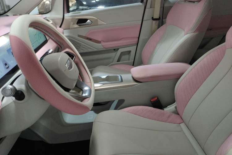 Used Geometry E Firefly 2024 401 km Fluorescent Left Front Seat