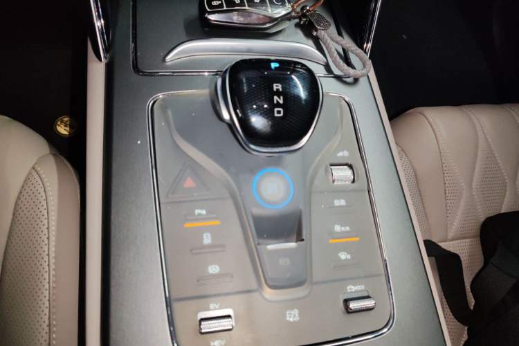 Used BYD Tang New Energy 2025 DM-i 115KM Prestige Model