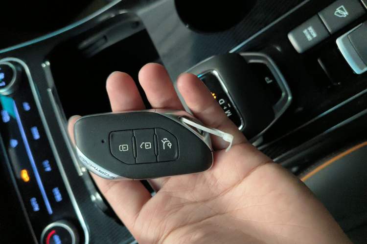 Used FORTHING Yacht 2024 1.5T DCT Guanhai Edition
