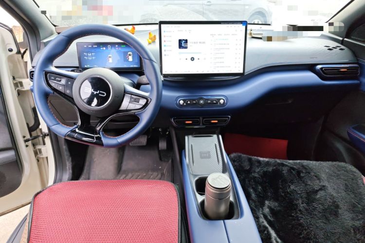 Used BYD Seagull 2025 Smart Drive Version 305 km Freedom Edition