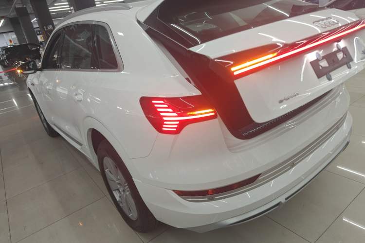 Used Audi e-tron 2021 50 quattro Luxury Edition Rear Left 45 Deg