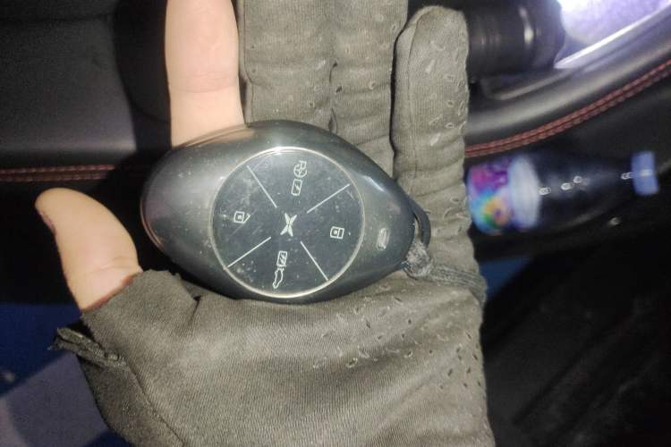 Used XPeng P7 2020 670N