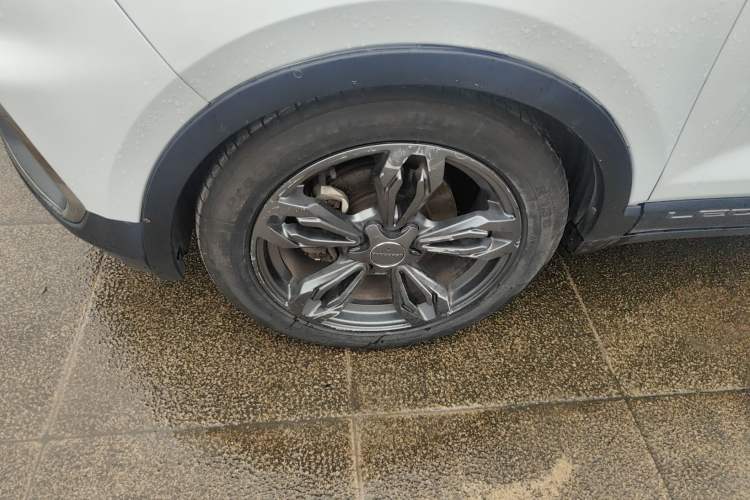 Used Leopaard CS9 2018 1.5T CVT Jingrui Model
