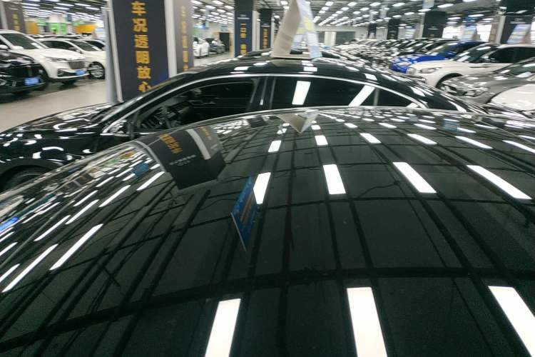 Used Tesla Model 3 2023 Long-Range All-Wheel-Drive Version Roof